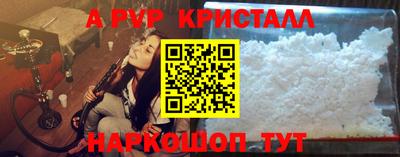СК Новодвинск