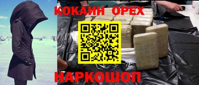 СК Новодвинск