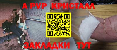СК Новодвинск