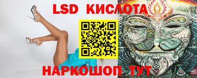 СК Новодвинск