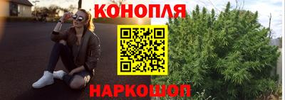 СК Новодвинск