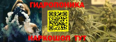 гашиш Новозыбков