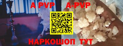 СК Новодвинск