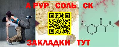 СК Новодвинск