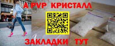 СК Новодвинск