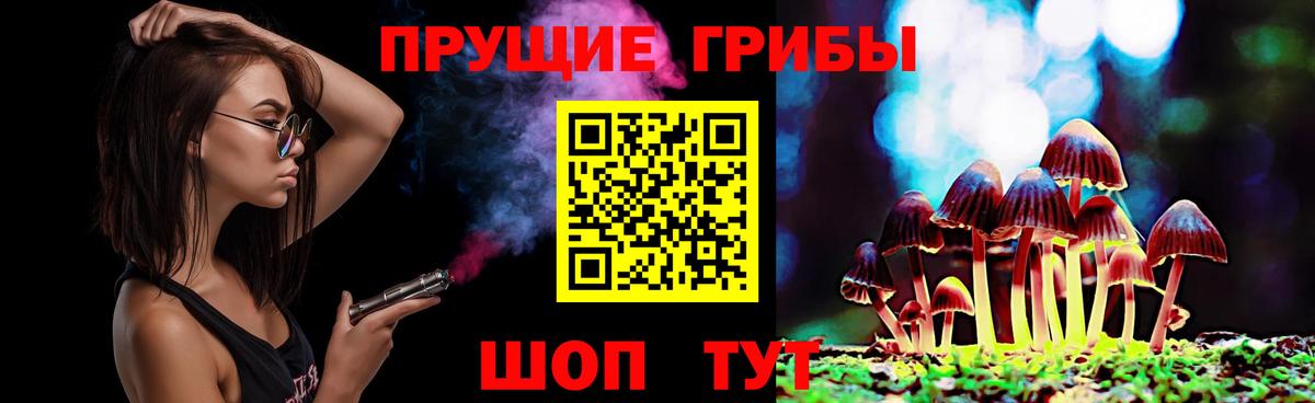 Псилоцибиновые грибы GOLDEN TEACHER Волоколамск